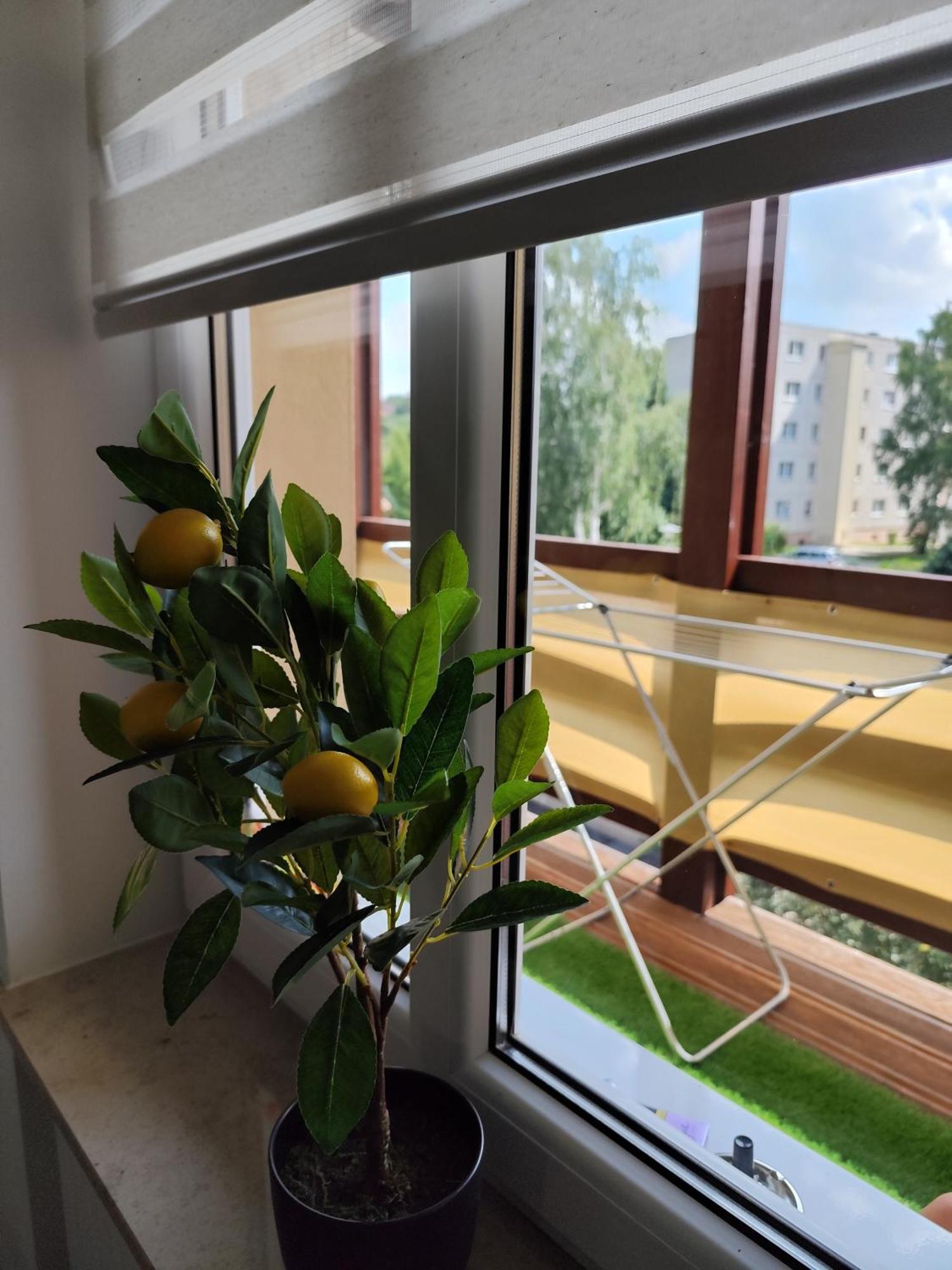 Ferienwohnung Cocon Zeitz Exterior foto